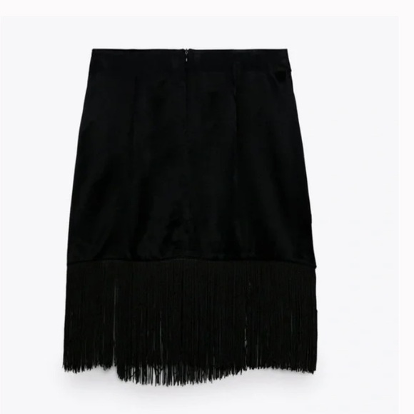 Zara Black Fringe Satin Mini
Skirt - Picture 5 of 7